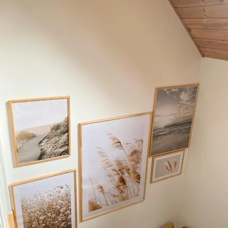 فيلة Zlote Wydmy